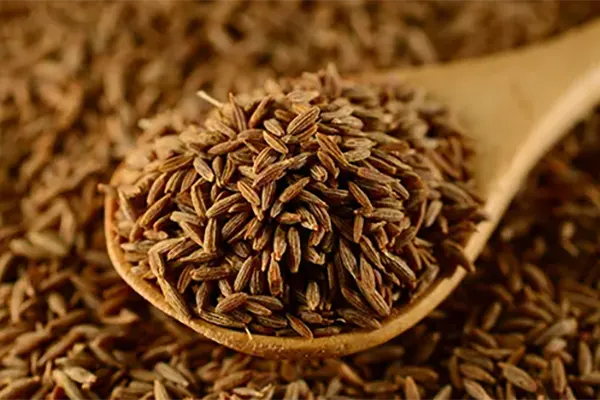 Cumin Seeds